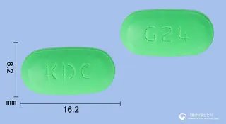 진코멕신정240밀리그램(은행엽건조엑스) 사진